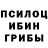 Галлюциногенные грибы прущие грибы Xemzevia