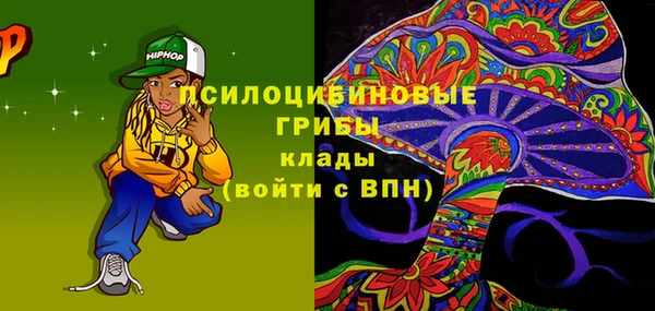 МДПВ Покровск