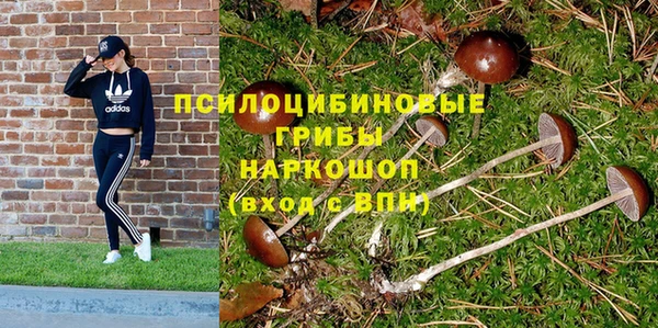 МДПВ Покровск