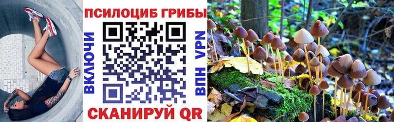Псилоцибиновые грибы Psilocybe  Рузаевка 