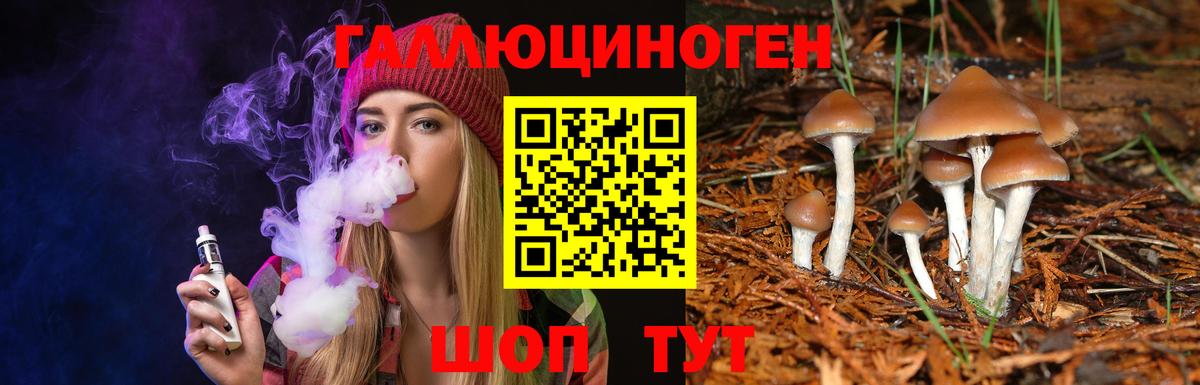 Галлюциногенные грибы мухоморы  Рузаевка  Псилоцибиновые грибы Magic Shrooms 