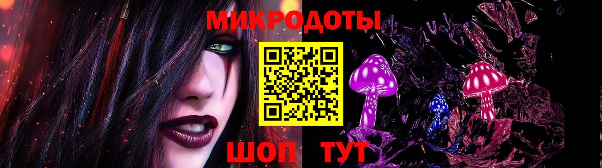 Псилоцибиновые грибы Psilocybine cubensis Рузаевка